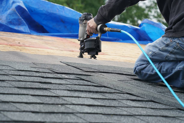 Best Roof Maintenance Services  in Chamberlain, SD